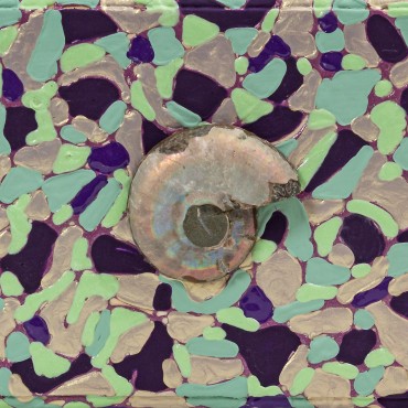 Cutie pictata Nautilus
